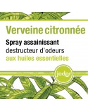 Parfum d'ambiance Jodor Verveine